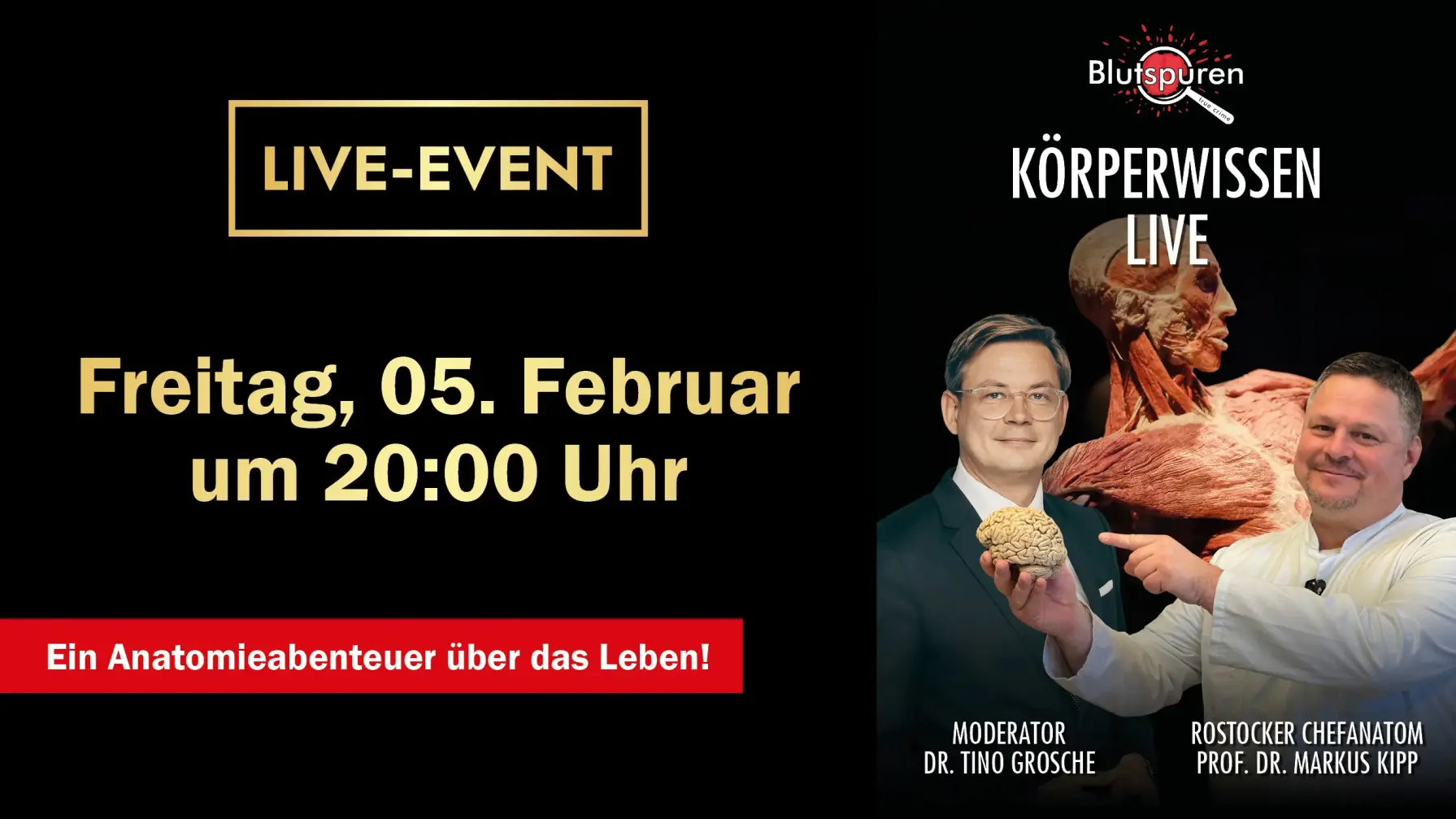 Blutspuren-Tour 2027: Körperwissen live (05.02.27)