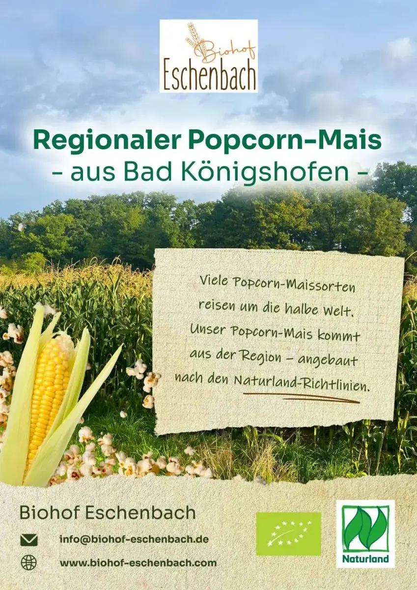Popcorn aus regionalem Bio-Mais