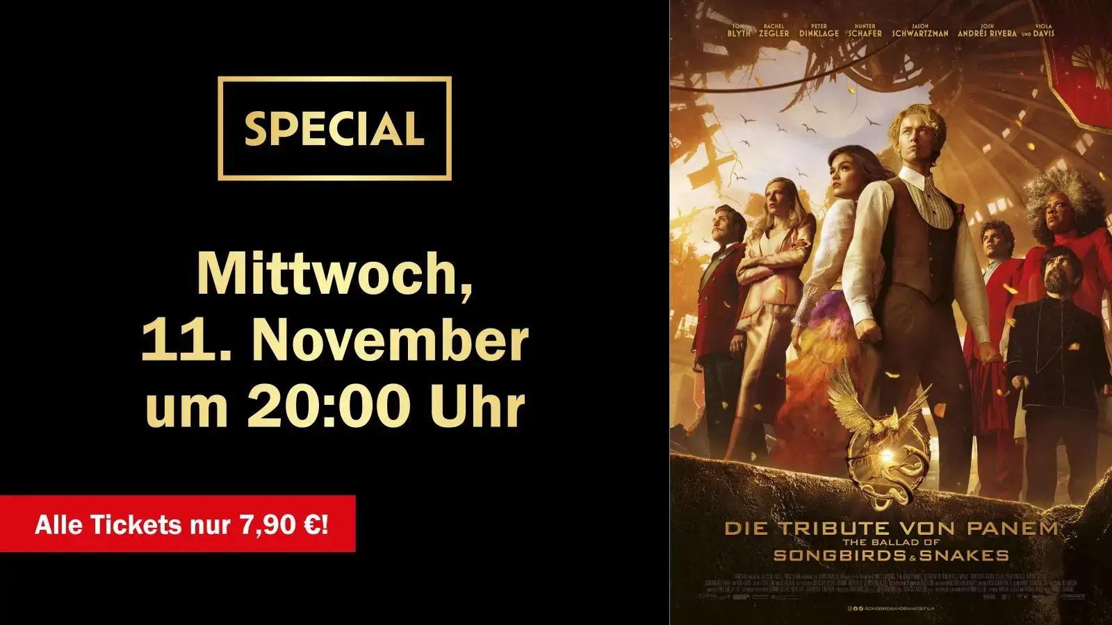 Special: Tribute (11.11.)