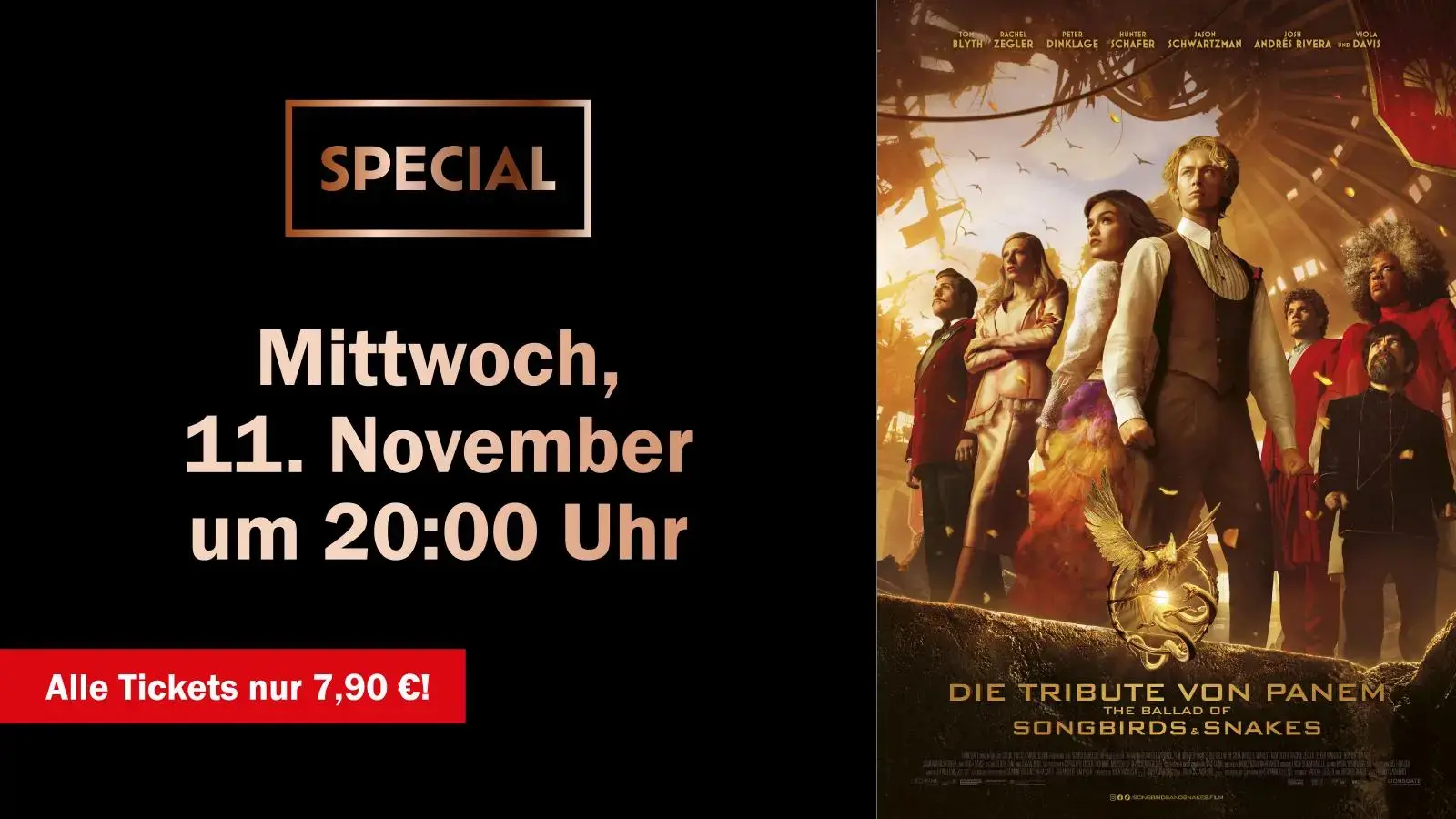 Special: Tribute (11.11.)