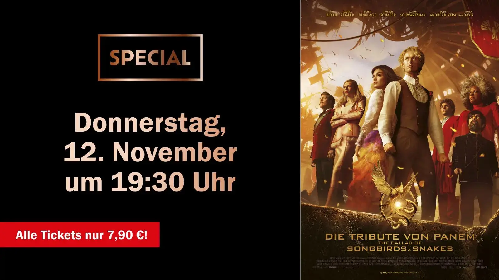 Special: Tribute (12.11.)