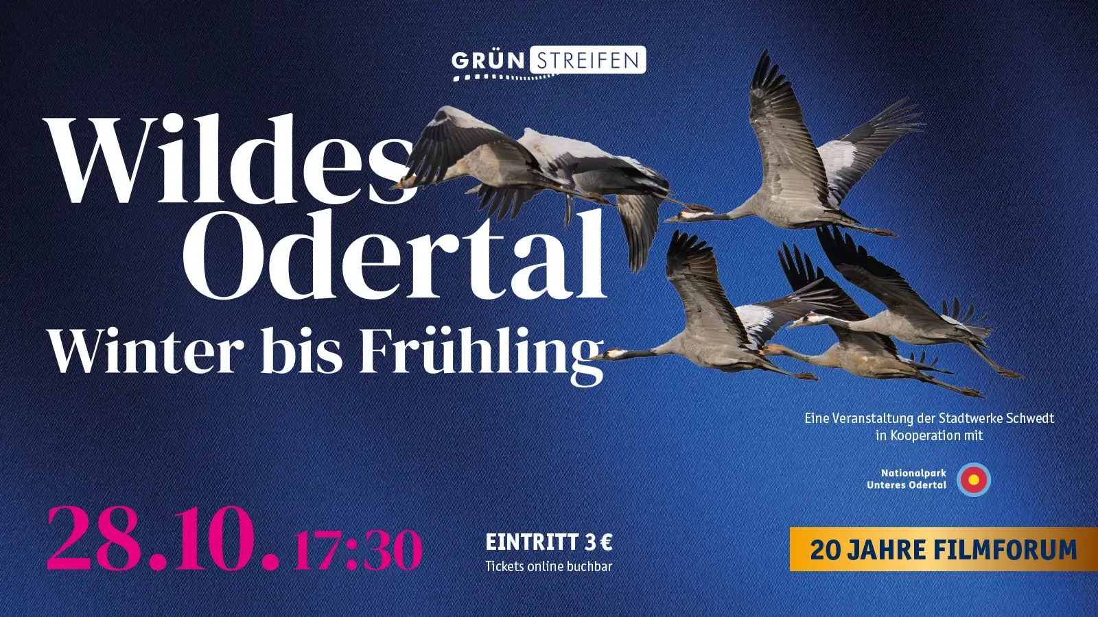 20 Jahre FilmforUM | GrünStreifen