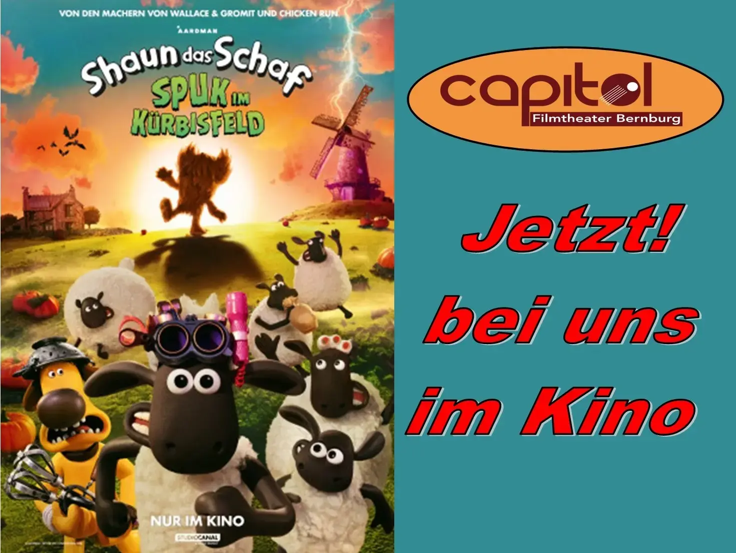 Shaun das Schaf - Spuk im Kürbisfeld