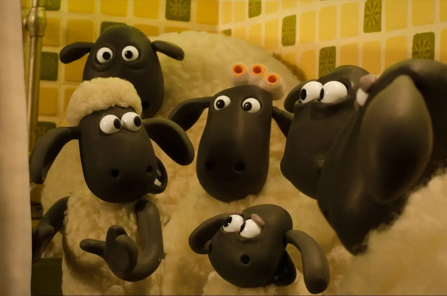 Shaun das Schaf - Spuk im Kürbisfeld