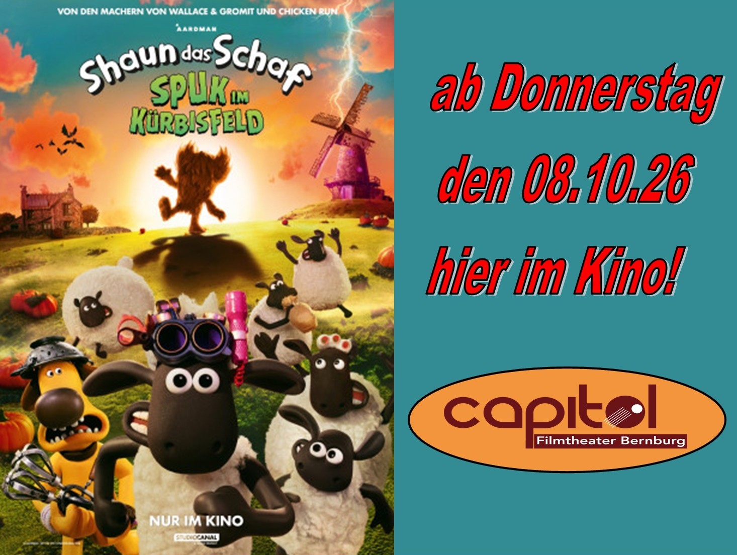 Shaun das Schaf - Spuk im Kürbisfeld