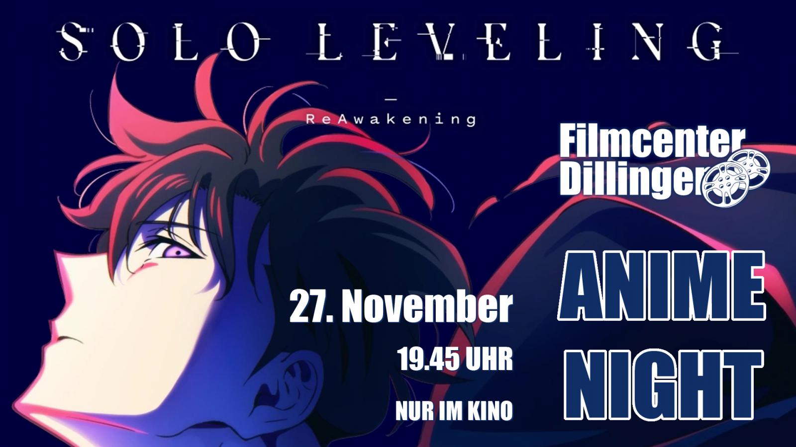 AMIME NIGHT: Solo Leveling - ReAwakening