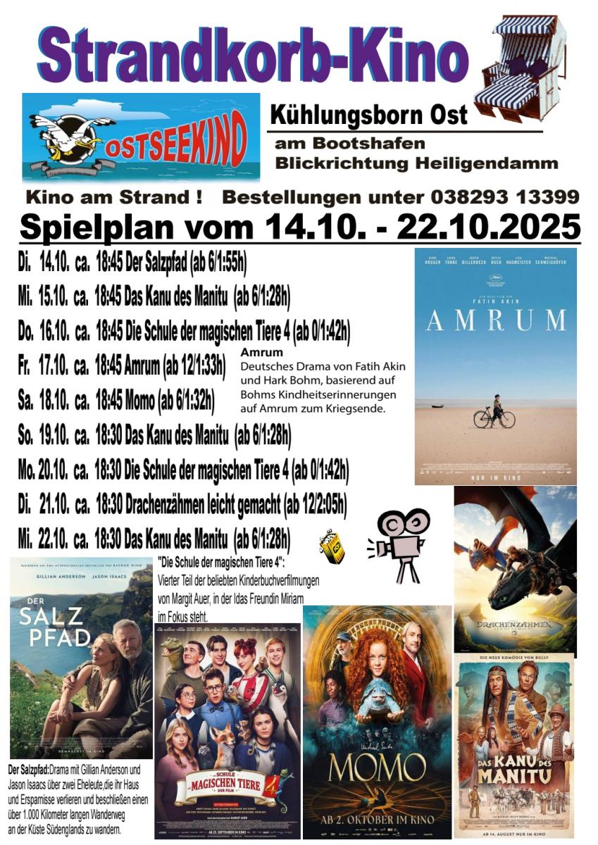 Flyer Starndkorb-Kino