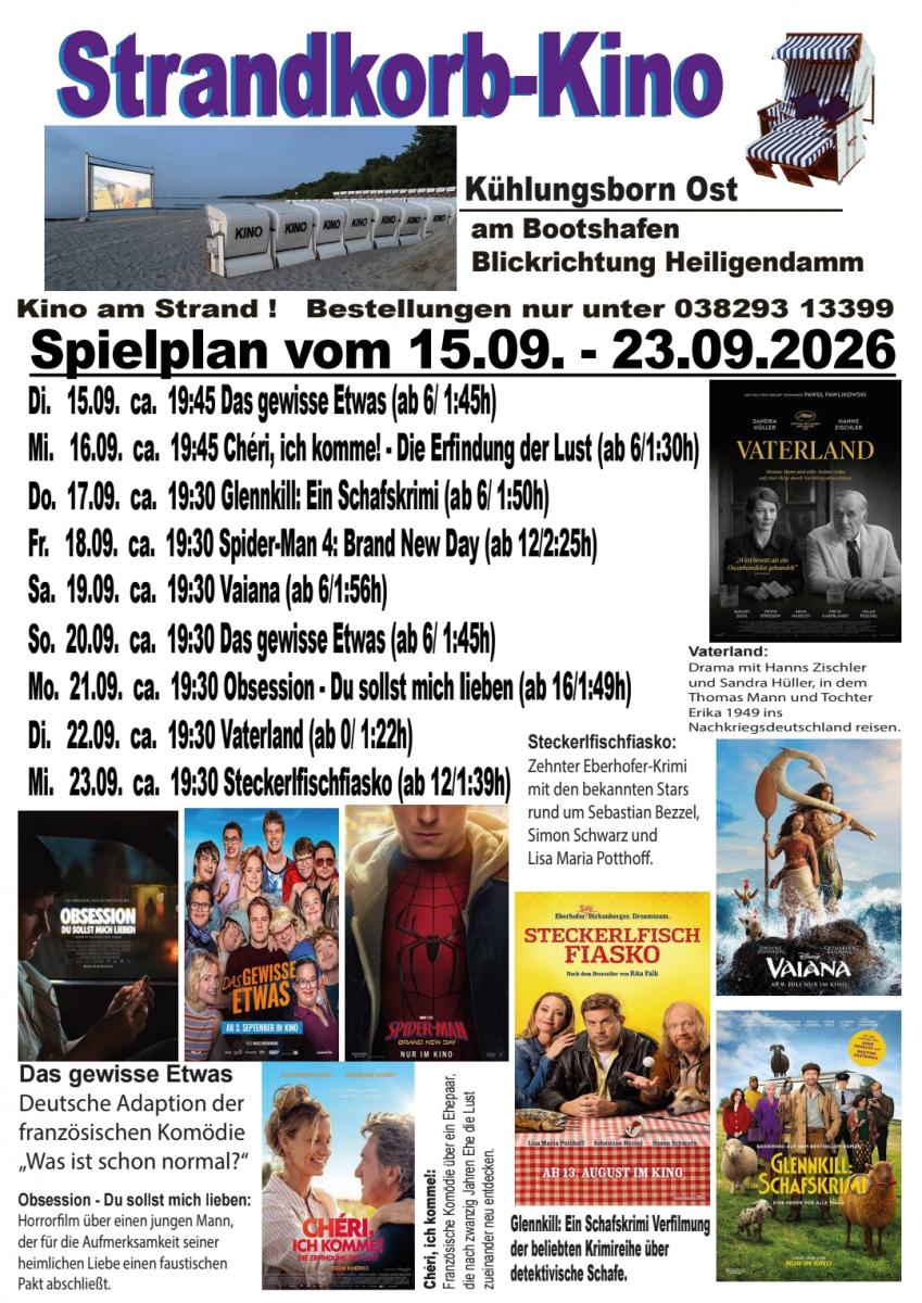 Flyer Starndkorb-Kino