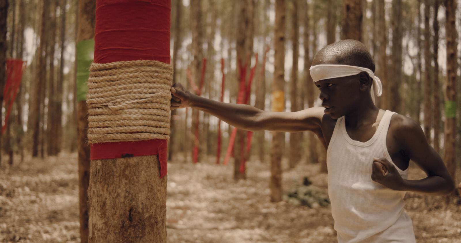 Afrika Film Festival Köln
