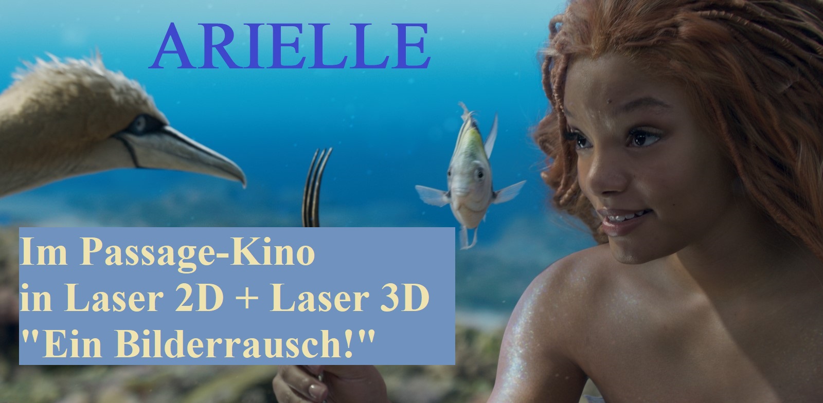 ARIELLE - Die Meerjungfrau