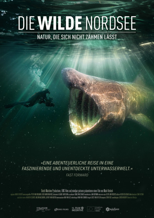 Die wilde Nordsee - Natur, die sich nicht zähmen lässt