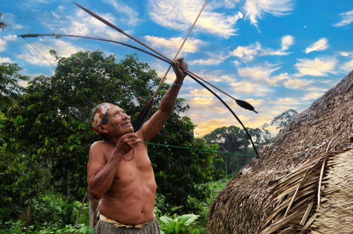 Matinée/Auslese: Expedition Amazonia