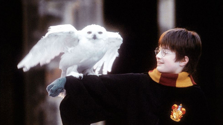 Harry Potter und der Stein der Weisen